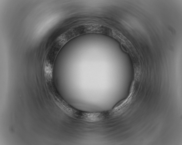 X0000115600191200911101414