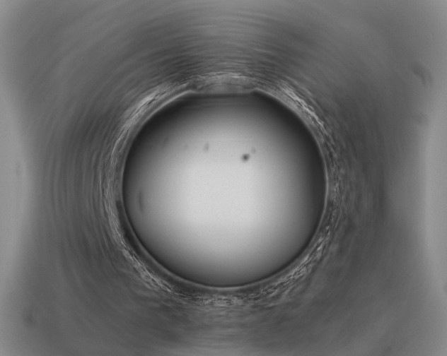 X0000115600193200911101413