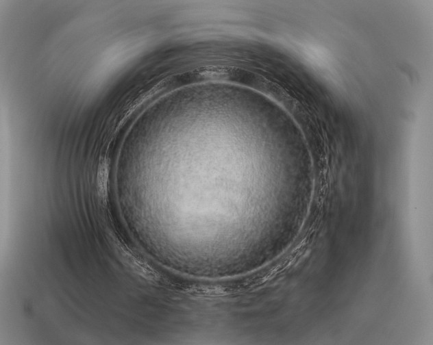 X0000115600194200911101413