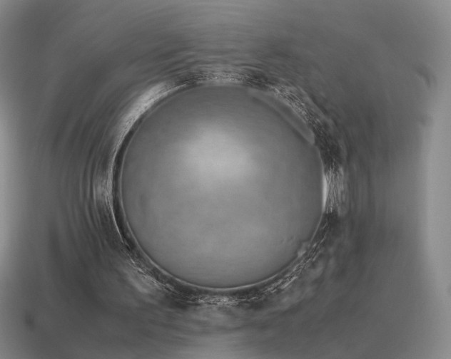 X0000115600195200911101413