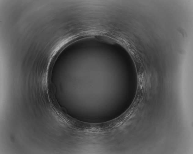 X0000115600196200911101413