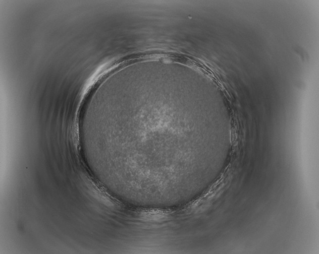 X0000115600198200911101413