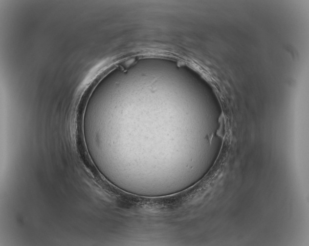 X0000115600199200911101413