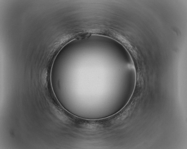 X0000115600201200911101413