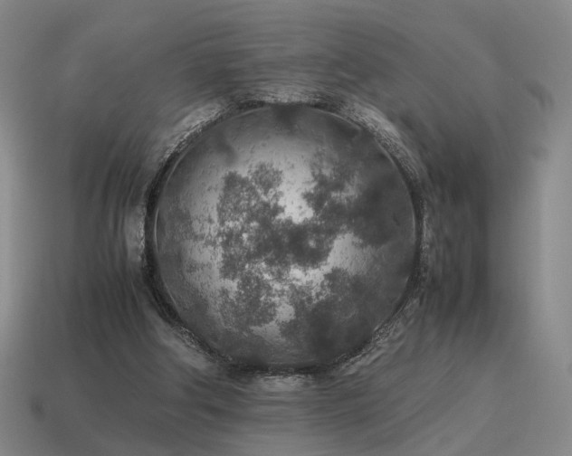 X0000115600202200911101413