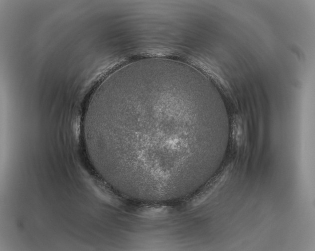 X0000115600206200911101413