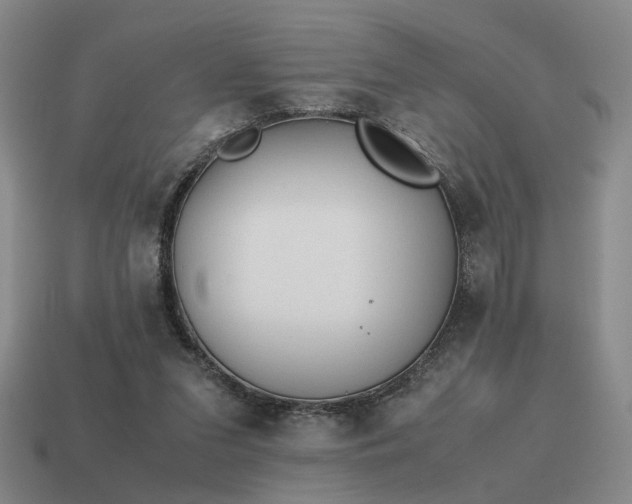 X0000115600207200911101413