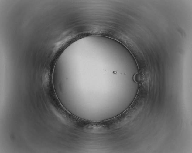 X0000115600208200911101413