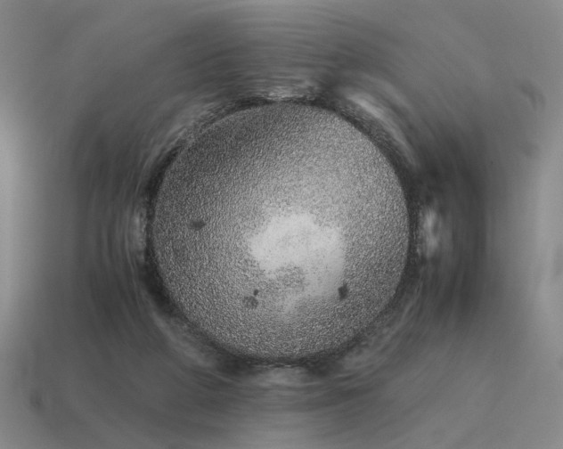 X0000115600210200911101413