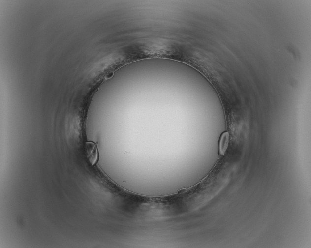 X0000115600211200911101413