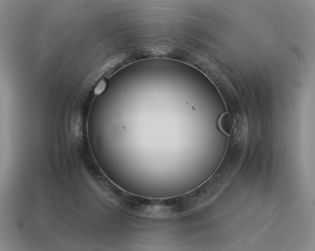 X0000115600212200911101413