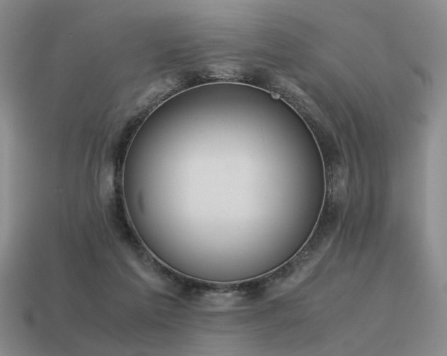 X0000115600213200911101413