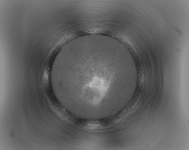 X0000115600214200911101413