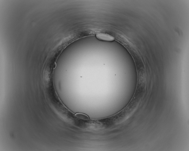 X0000115600215200911101413