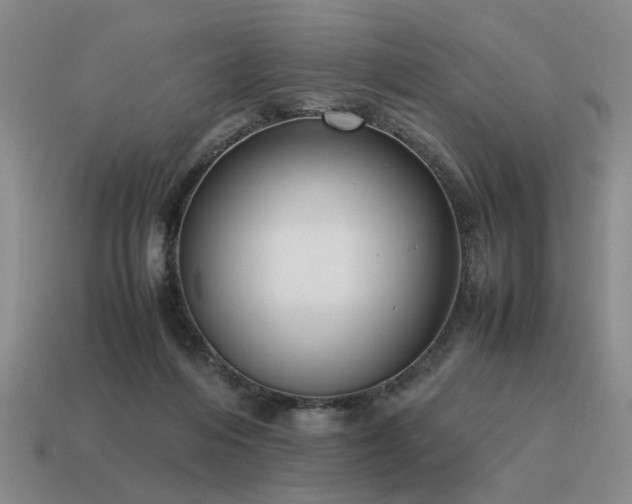 X0000115600216200911101413