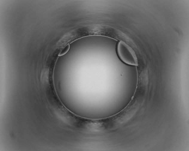 X0000115600217200911101413