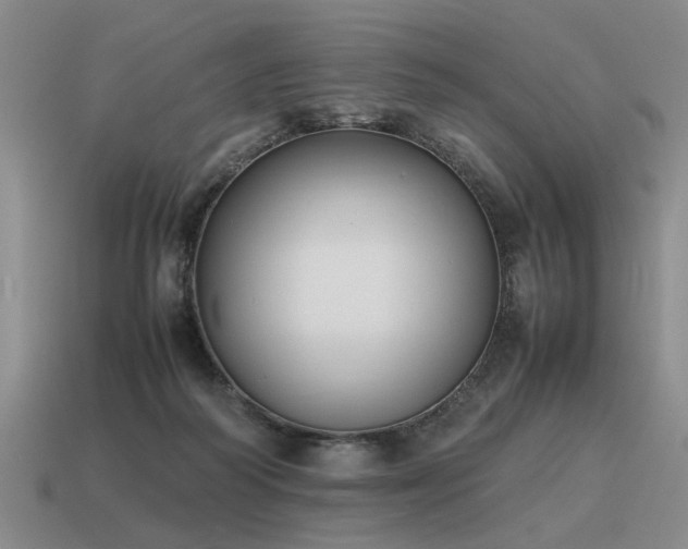 X0000115600218200911101413