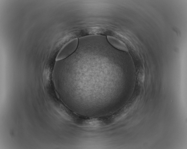 X0000115600219200911101413