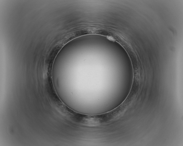 X0000115600221200911101413