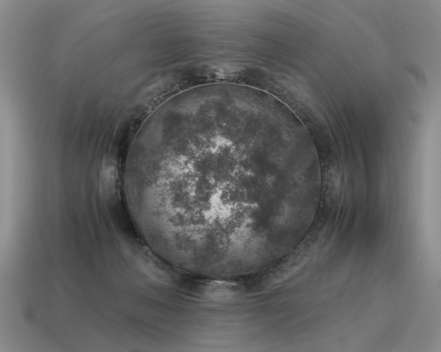 X0000115600222200911101413