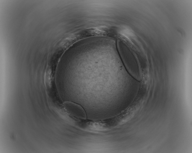 X0000115600223200911101413