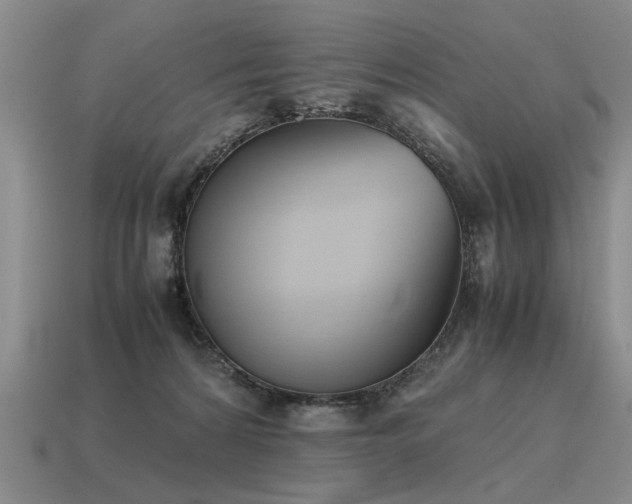 X0000115600224200911101413