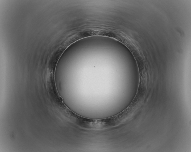 X0000115600225200911101413