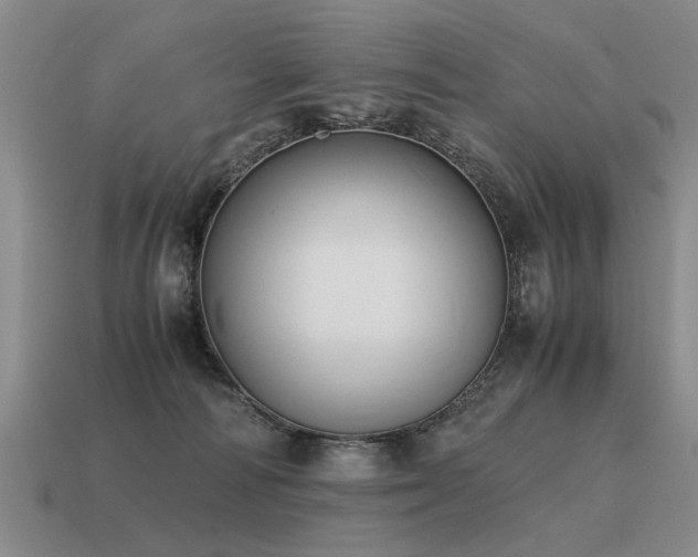 X0000115600226200911101413