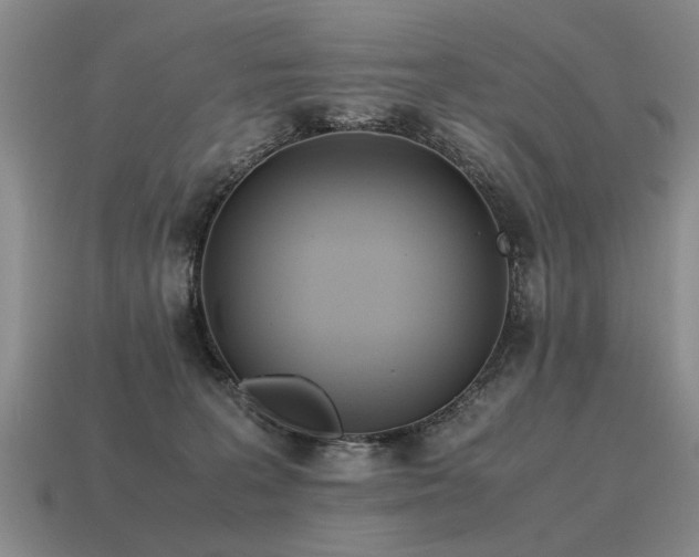 X0000115600227200911101413