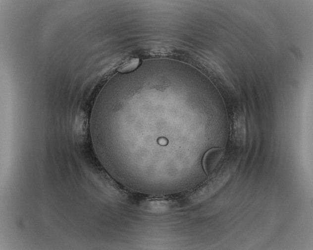 X0000115600228200911101413