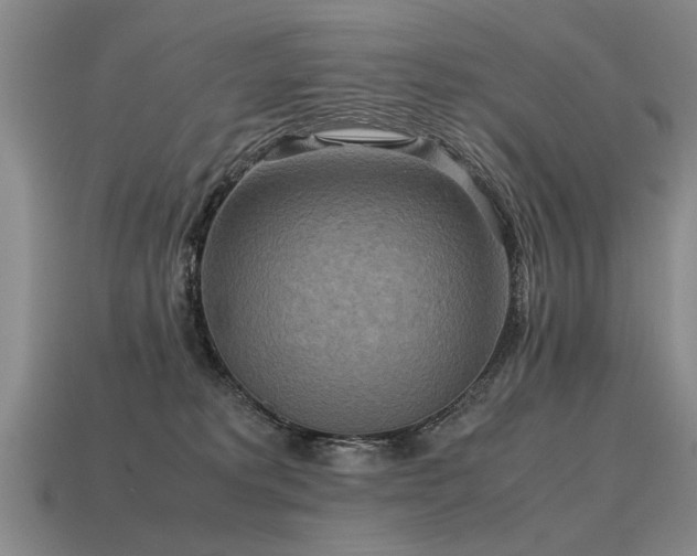 X0000115600229200911101413