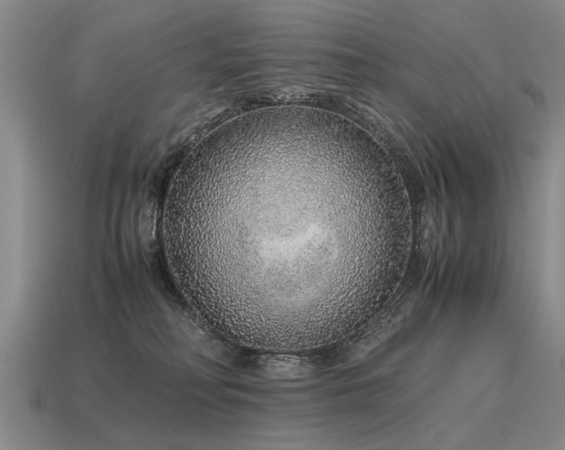 X0000115600230200911101413