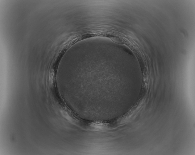 X0000115600231200911101413