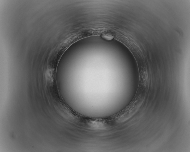 X0000115600232200911101413