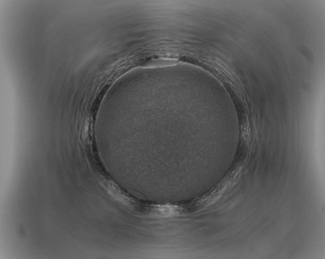 X0000115600233200911101413