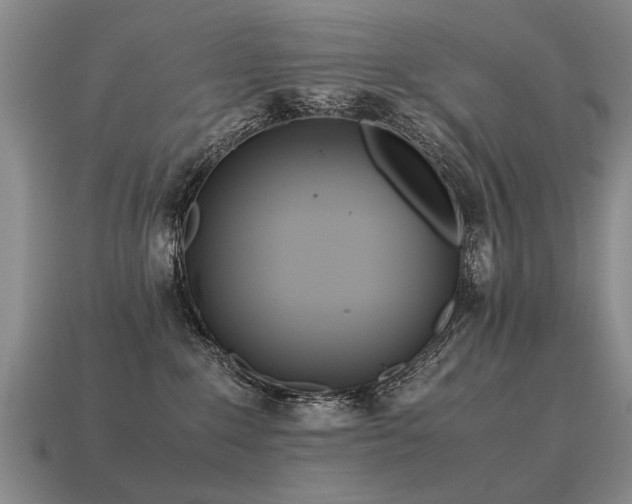 X0000115600235200911101413