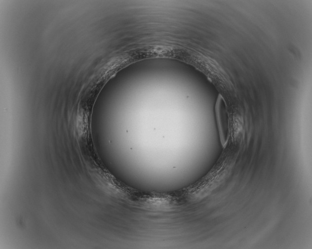 X0000115600236200911101413