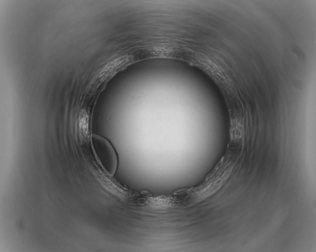 X0000115600238200911101413