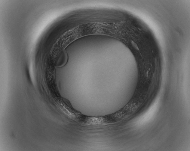 X0000115600239200911101413