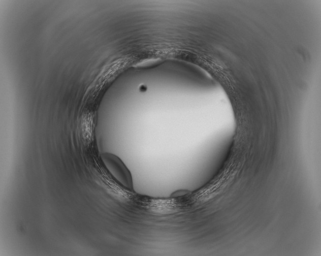 X0000115600240200911101413