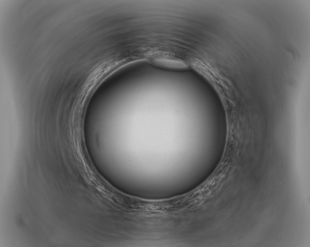 X0000115600241200911101412