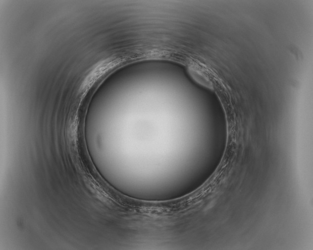 X0000115600242200911101412