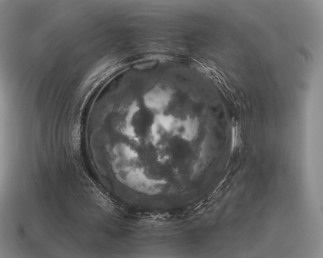 X0000115600243200911101412