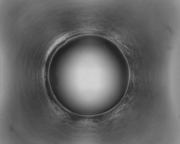 X0000115600244200911101412