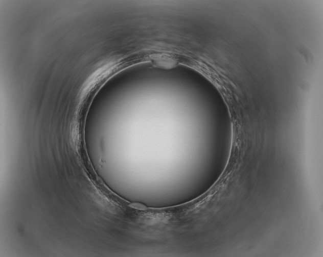 X0000115600245200911101412