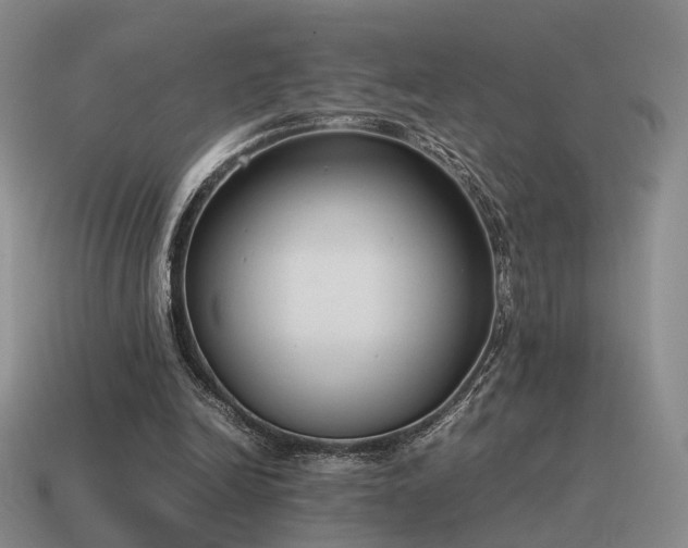 X0000115600246200911101412