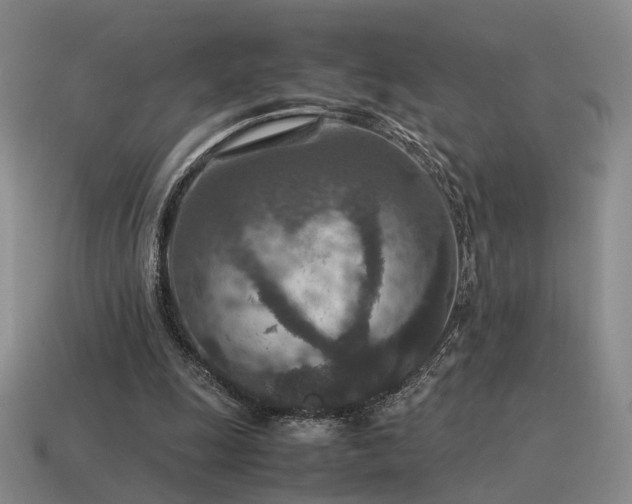 X0000115600247200911101412