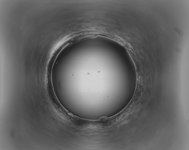 X0000115600248200911101412