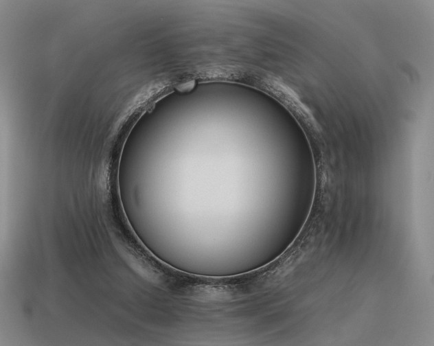 X0000115600250200911101412