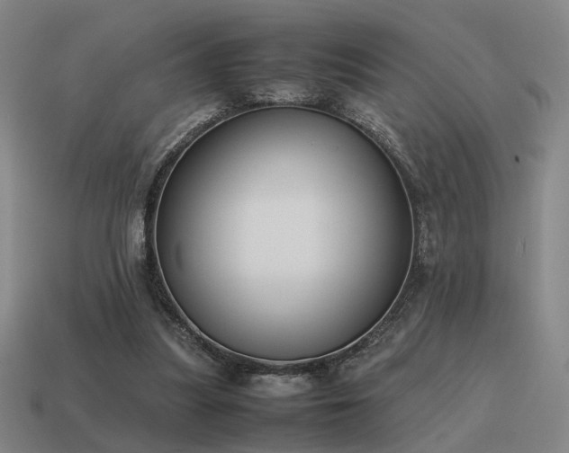 X0000115600251200911101412